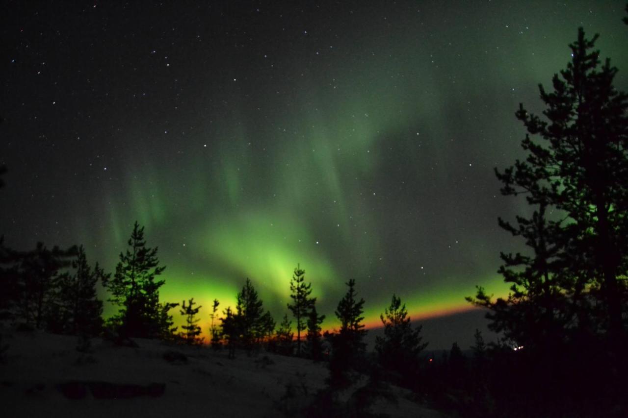 Lagomhuset - A Peaceful Holiday In Swedish Lapland Vidsel Exterior foto